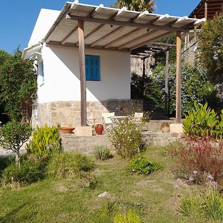 Lemon Tree Cottage Finikounta Ngoại thất bức ảnh