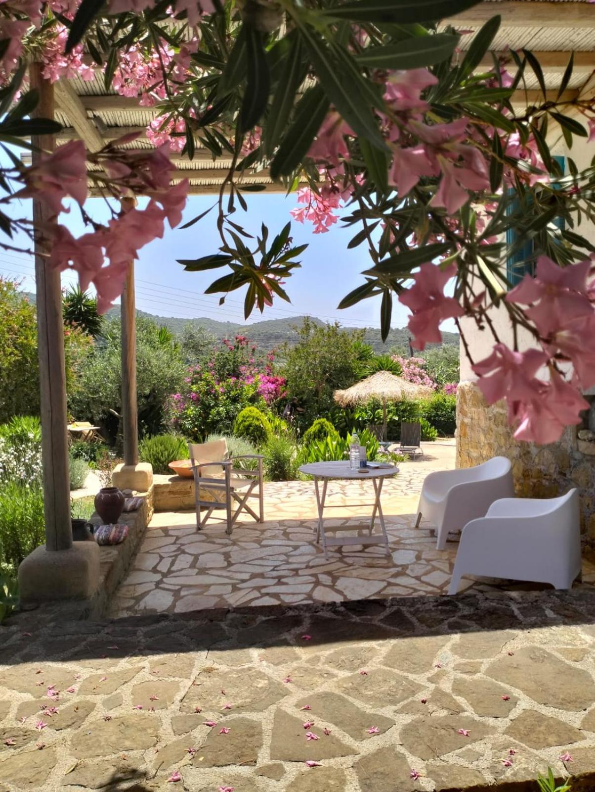 Lemon Tree Cottage Finikounta Ngoại thất bức ảnh