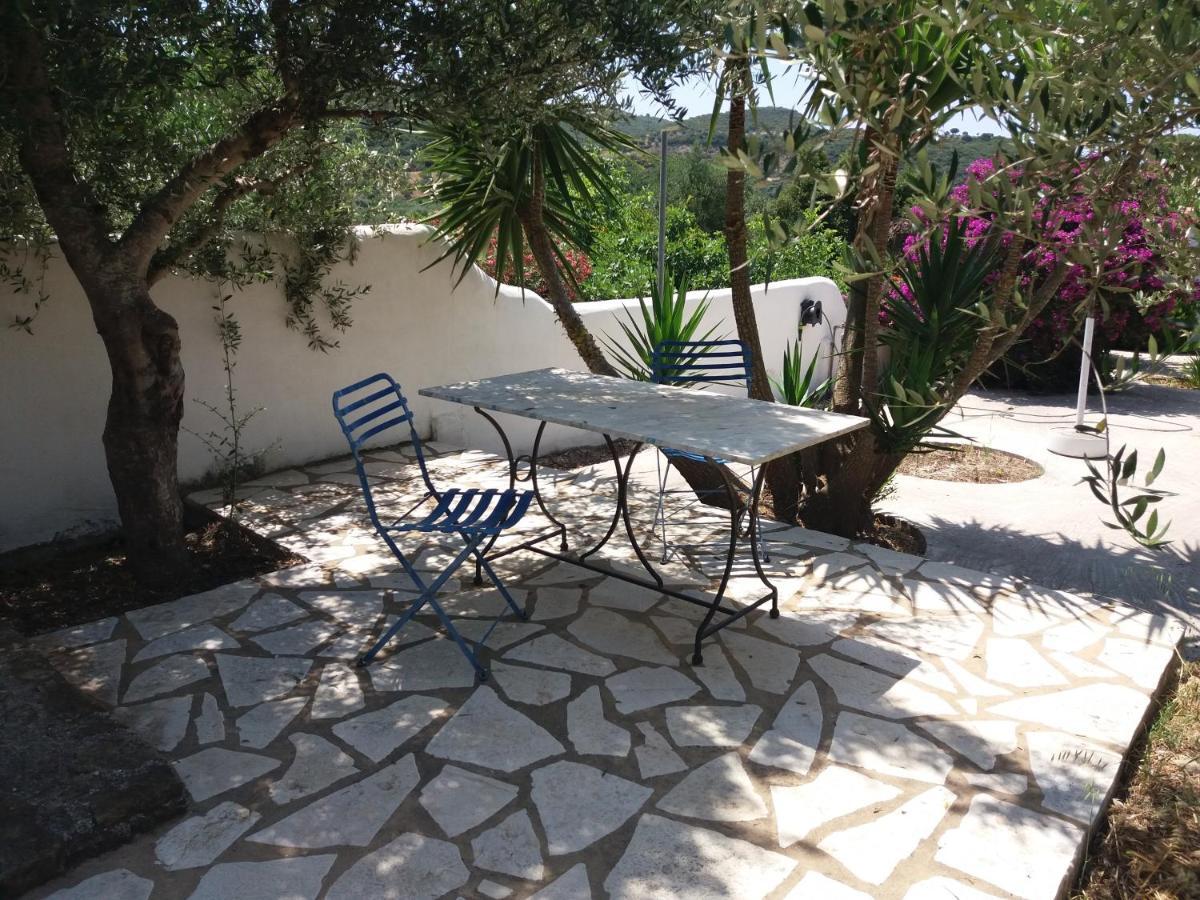 Lemon Tree Cottage Finikounta Ngoại thất bức ảnh